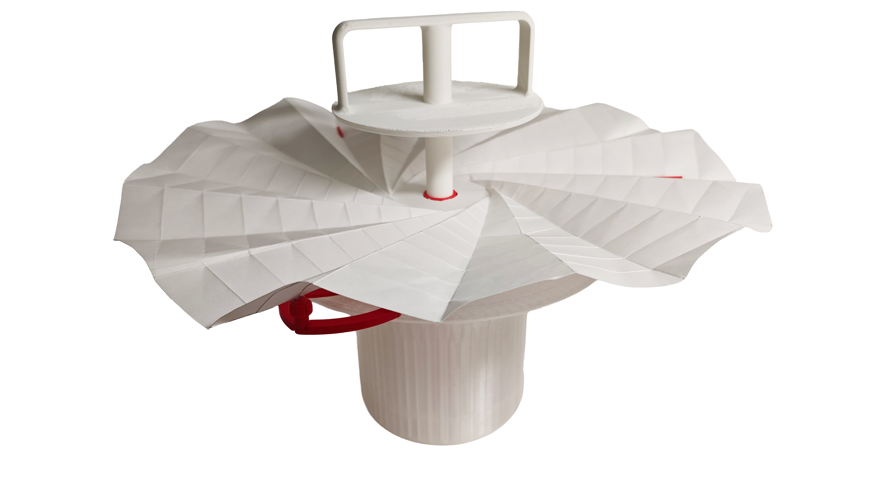 Flora Model